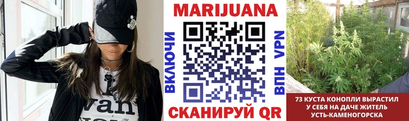 Где купить наркотики Петухово Alpha-PVP  ГАШ 