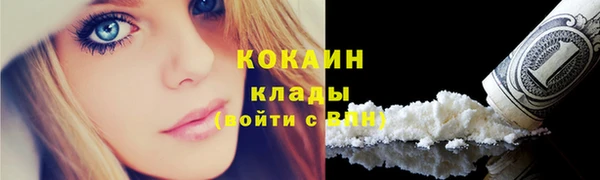 мяу мяу мука Баксан