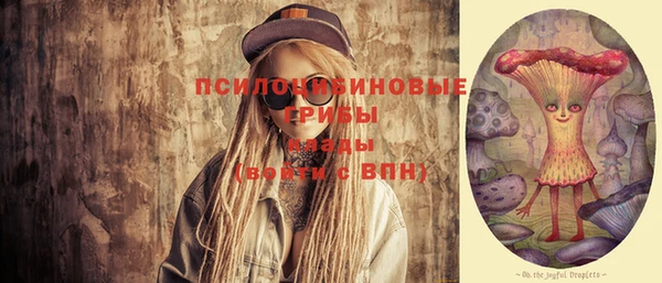 мяу мяу мука Баксан